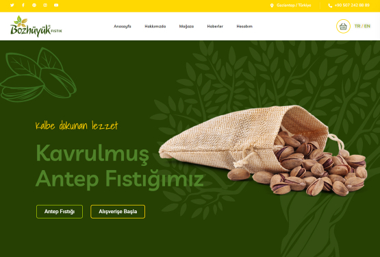 Bozhüyük Pistachio Webpage Design